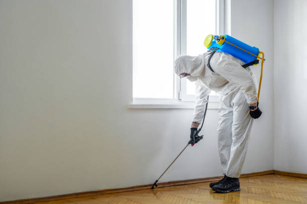 Best Affordable Pest Control Services  in Haverhill, MA