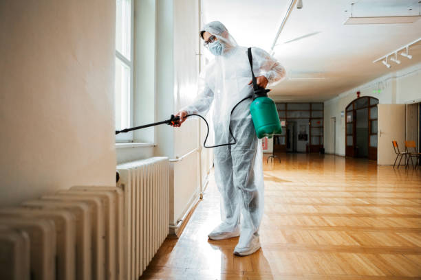 Best Pest Inspection Near Me  in Haverhill, MA